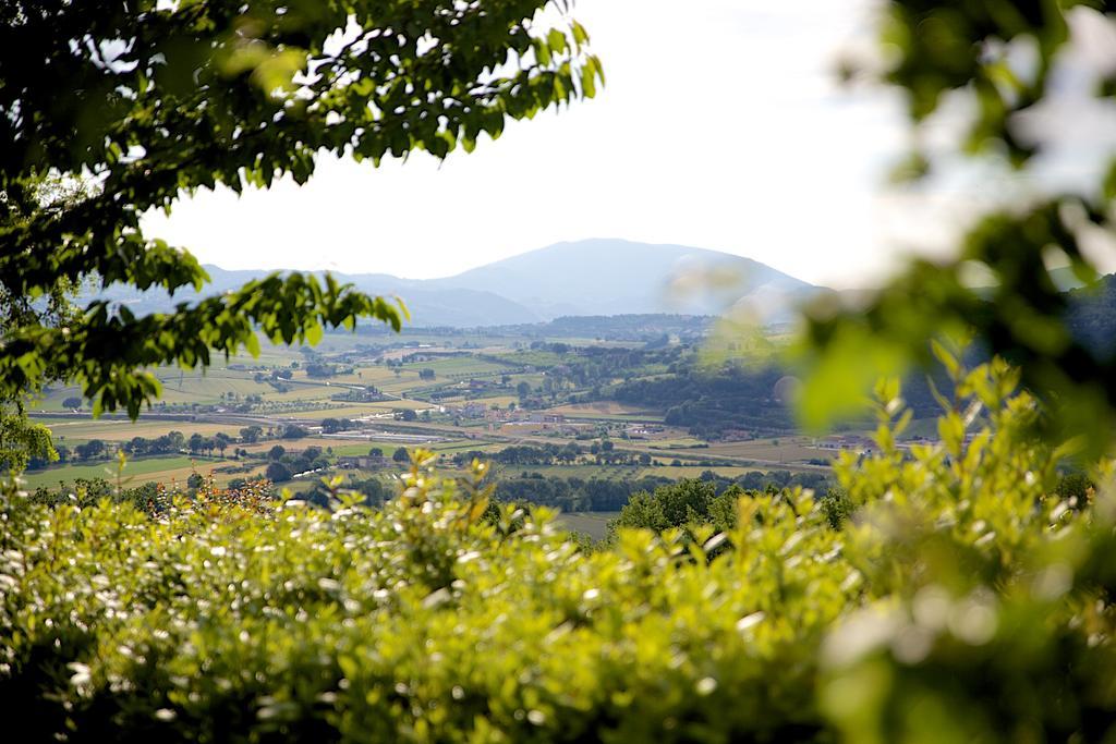 Agriturismo Le Colombe Assisi Bagian luar foto