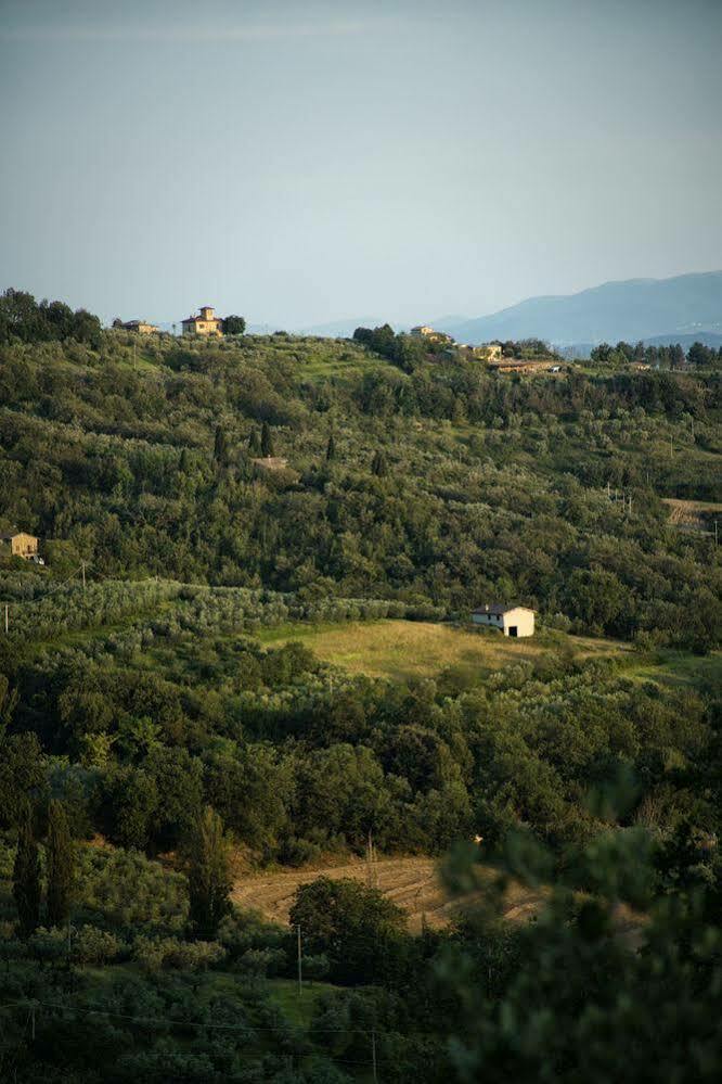 Agriturismo Le Colombe Assisi Bagian luar foto